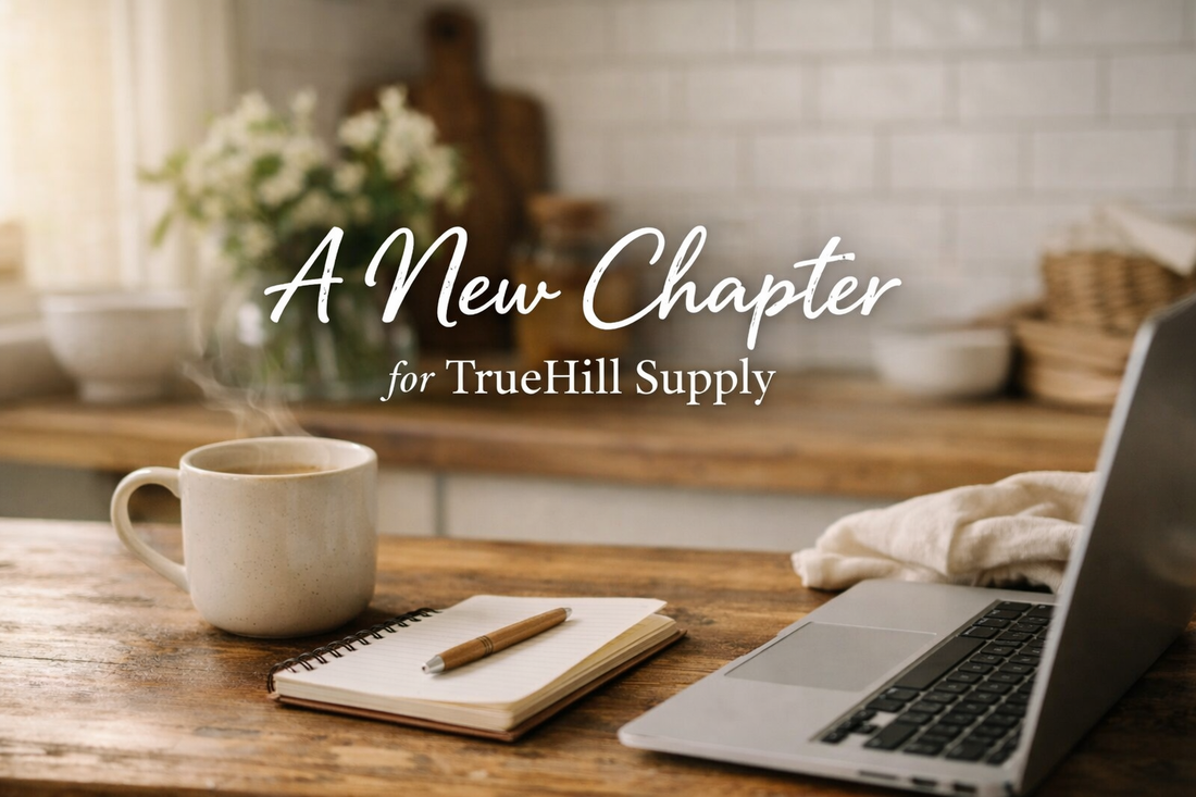 A Little Update From My Heart 🤍